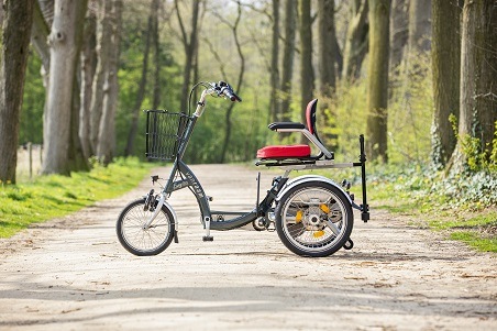 Weitere Informationen über den Easy Go Elektromobil Dreirad