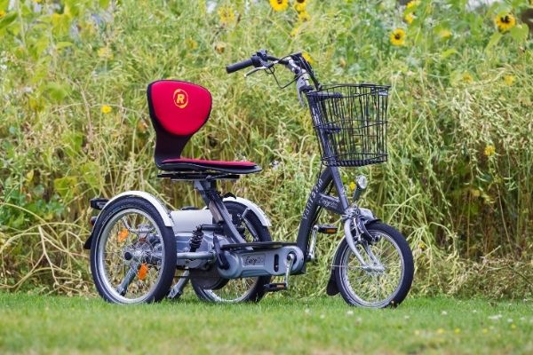 Radfahren mit halbseitiger Lähmung Elektromobil-Dreirad von Van Raam