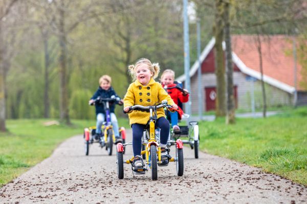 Angepasste Fahrräder für Kinder mit Behinderungen Van Raam