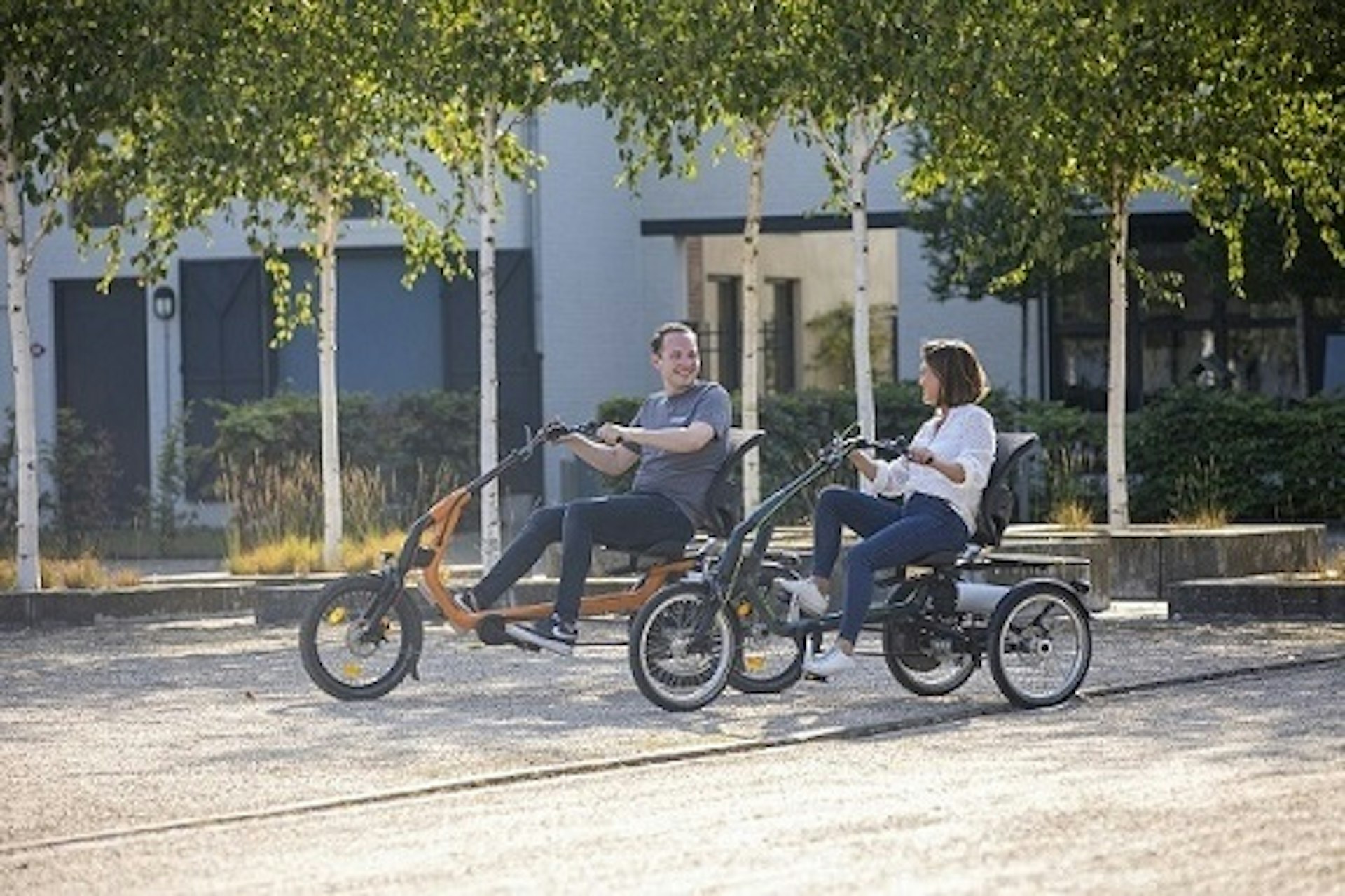 Electric tricycle adults increasingly popular