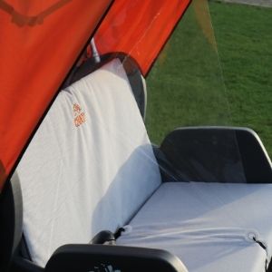 Video chat rickshaw bike with  protection screen from the side
