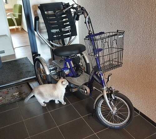 Scooter Bike Easy Go Astrid van der Plank