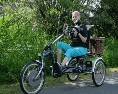 Van Raam