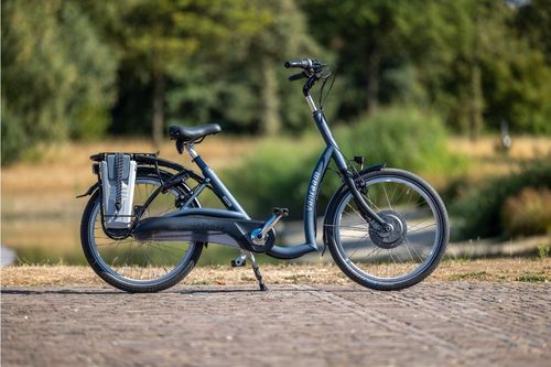 Stabiele lage instapfietsen van Van Raam