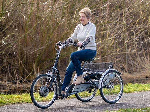 Gears on adapted Van Raam bicycles Maxi Comfort tricycle