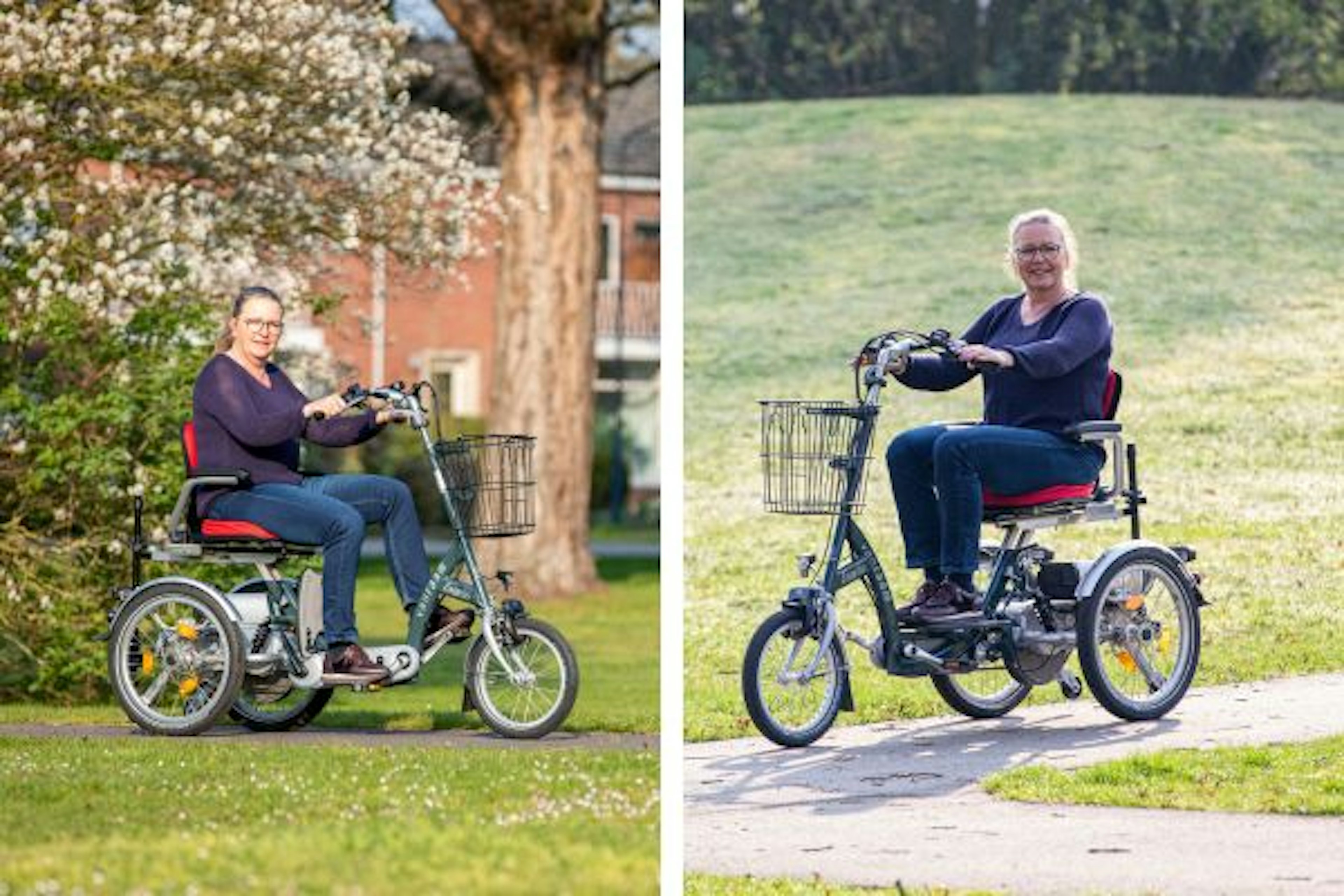 Mobility scooter bike (bike and mobility scooter)