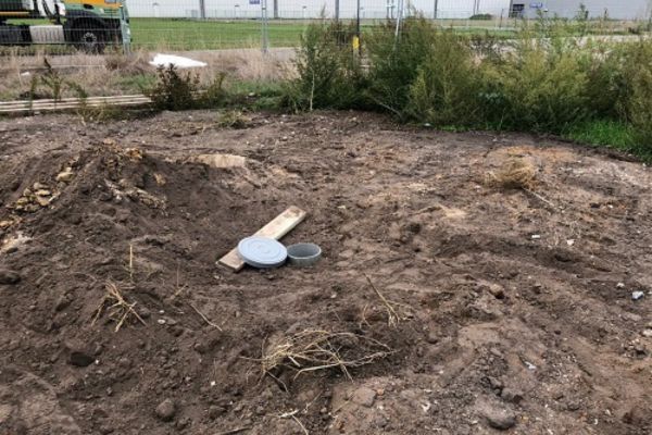 Gat voor meiboom