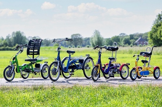 Custom children's tricycle bikes Van Raam