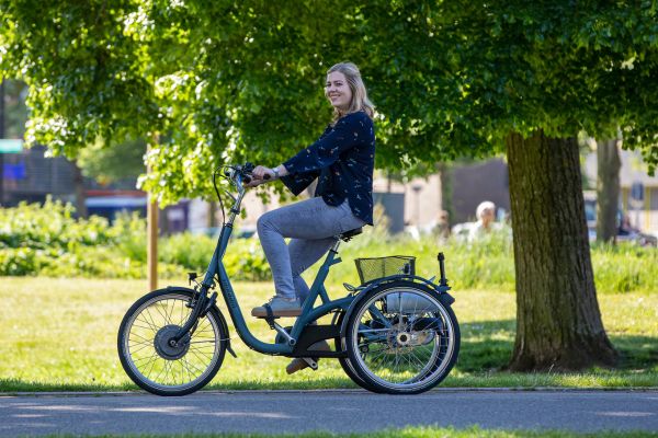Einzigartige Fahreigenschaften Van Raam Maxi Dreirad für Erwachsene