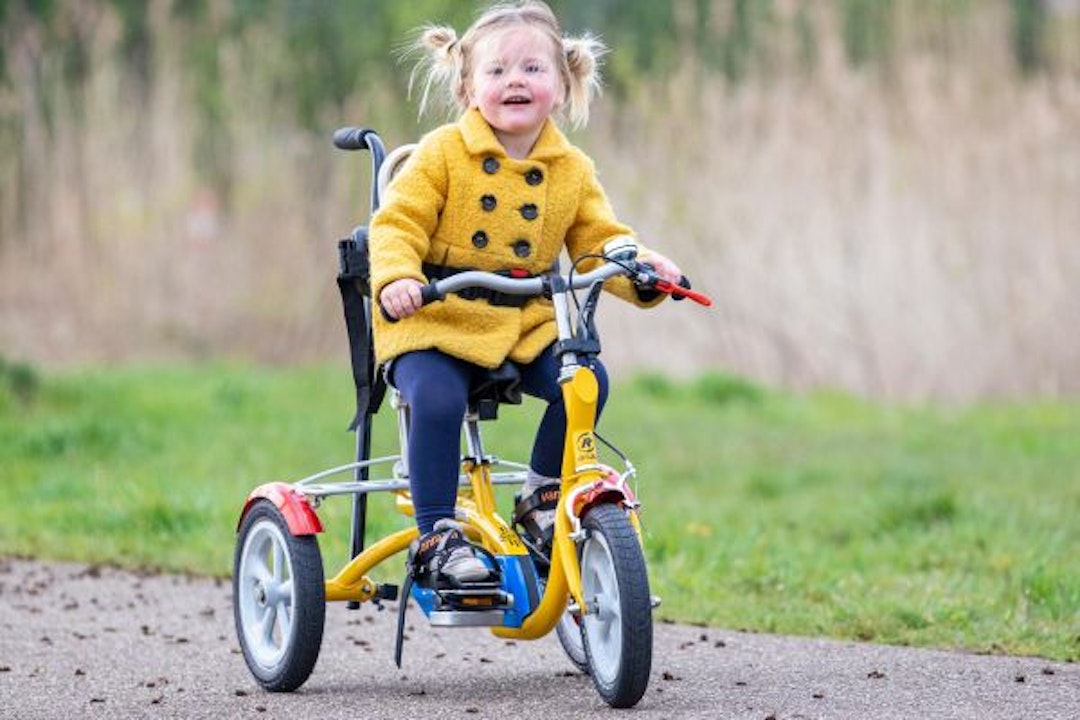 Husky tricycle for children with a disability