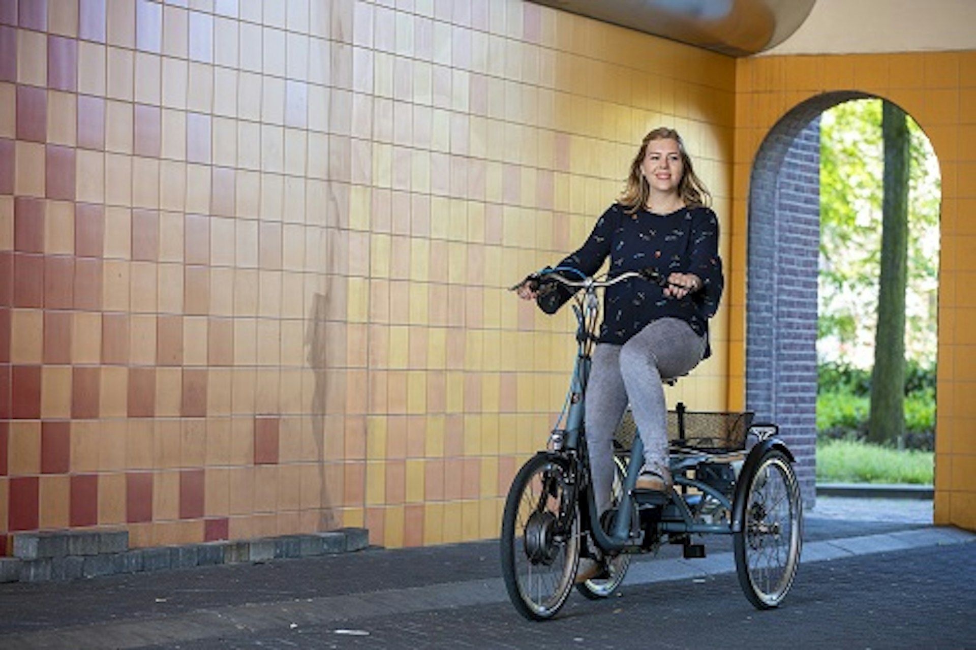 Tricycle électrique Van Raam Maxi pour adultes