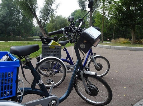 Maxi tricycles Van Raam Theo customer experience