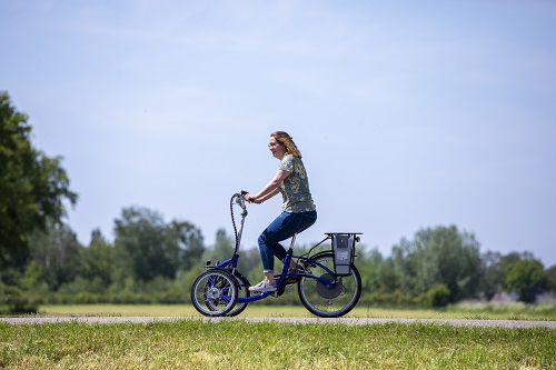 Van Raam Viktoria tricycle for adults or large or older child