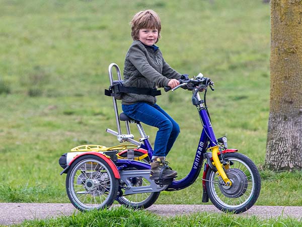 Gears on adapted Van Raam bicycles Mini tricycle