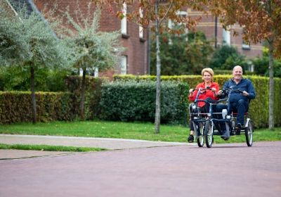 Van Raam Fun2Go special needs side by side trike