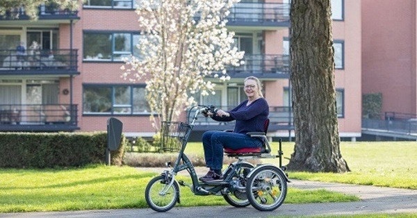 Alternative for mobility scooter Van Raam Easy Go