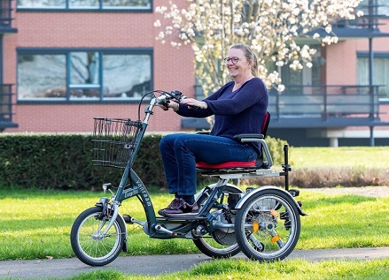 Kompaktes Van Raam Elektromobil-Fahrrad 