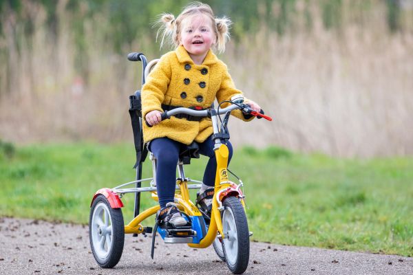 husky aangepaste kinderdriewieler van raam