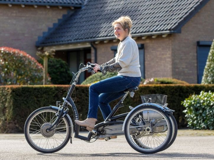Großes Dreirad für Erwachsene Van Raam Maxi Comfort