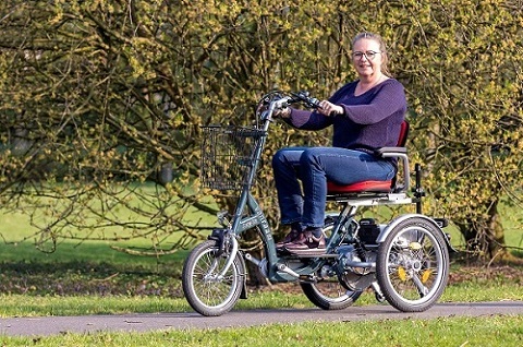 3 wheeler disabled bike