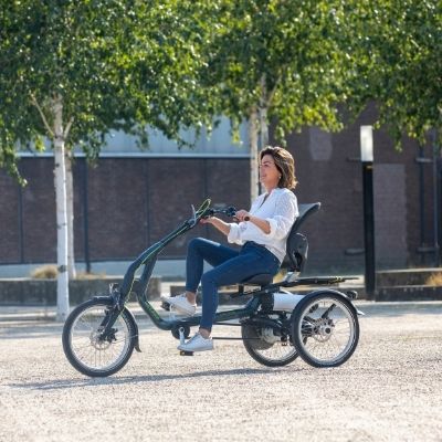 Easy Rider-Dreirad von Van Raam