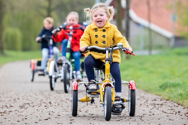 Special needs childrens trikes Van Raam Husky, Mini and Easy Rider Small