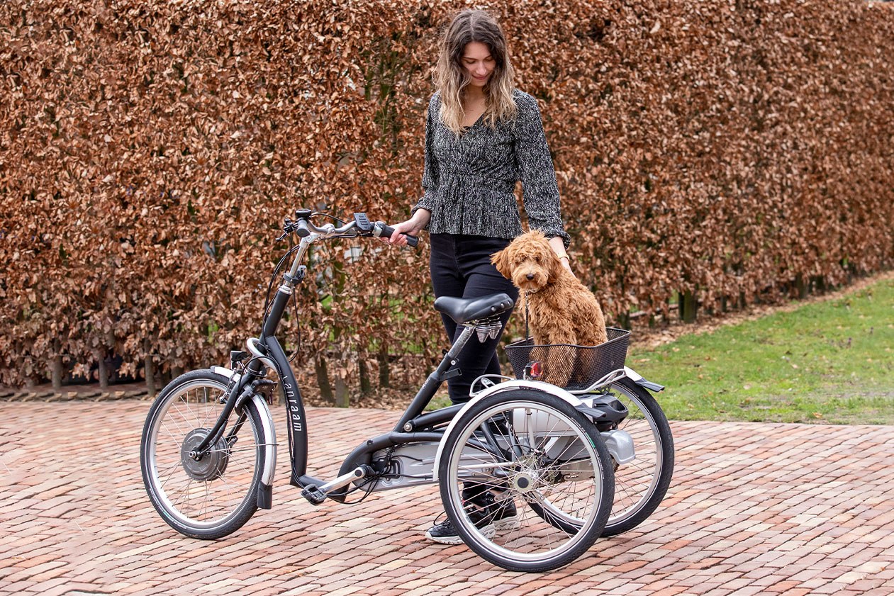 Maxi Comfort electric low entry trike for adults
