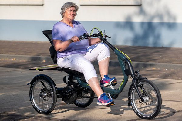 Therapy tricycle seniors Easy Rider Van Raam