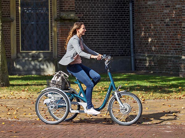 Van Raam Maxi elektrisches Dreirad für Erwachsene