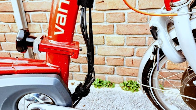 Customer experience Van Raam Easy Rider tricycle detachable - Monica