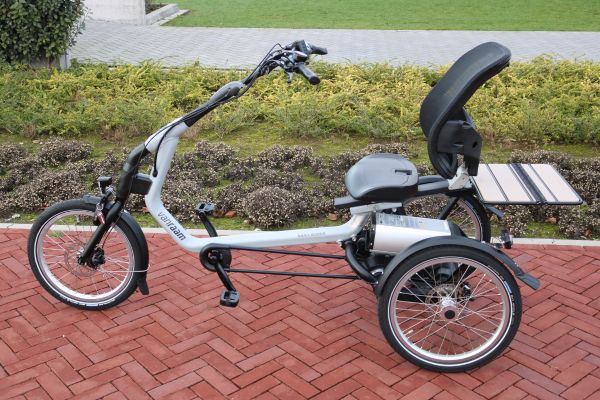 Van Raam Easy Rider Dreirad für Erwachsene in Fenstergrau