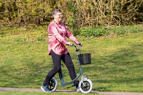 Lease Van Raam special needs bikes walking aid