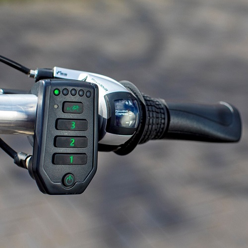 OPair rolstoel driewielfiets trapondersteuning Van Raam