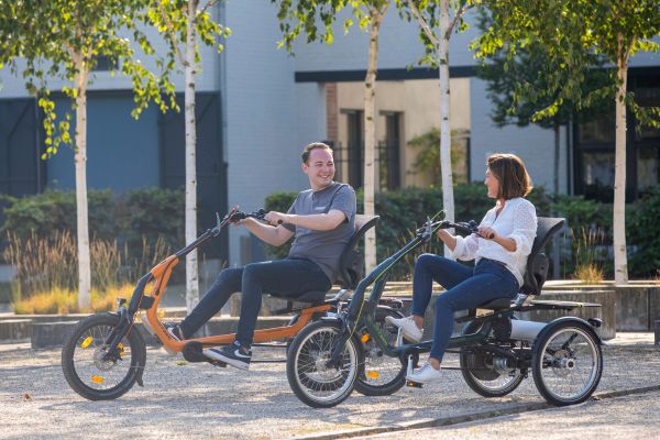 10 most sold options of the Van Raam Easy Rider tricycle Different frame sizes 