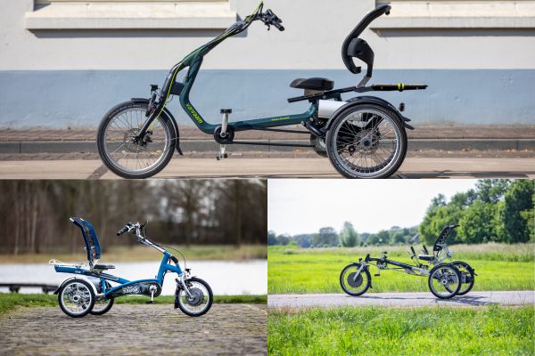 Standardfarben für Van Raam Dreiräder Easy Rider und Easy Rider Small und Easy Sport