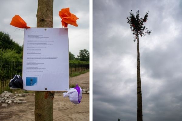 De meiboom bij de nieuwbouw Van Raam Varsseveld