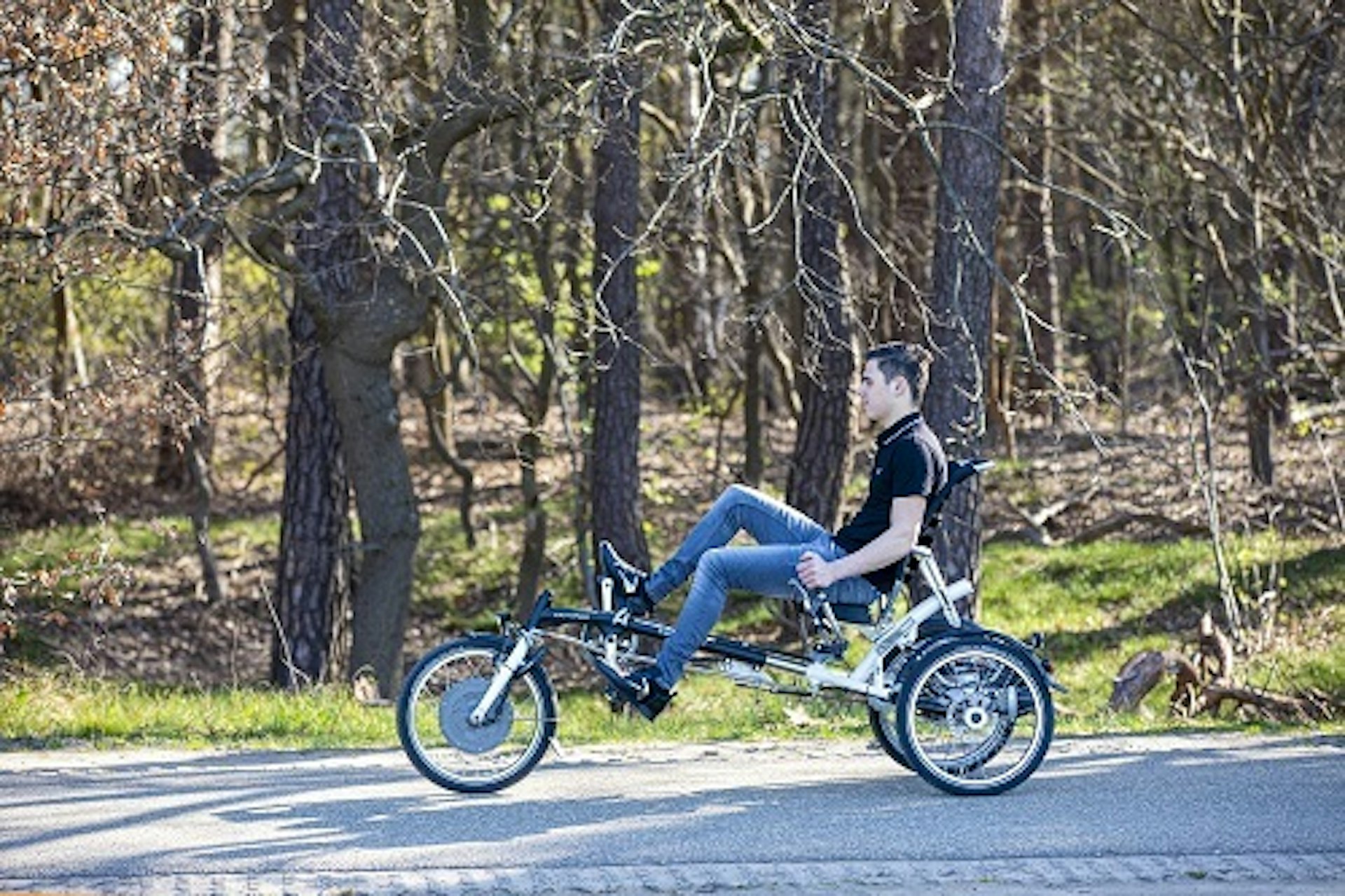 Tricycle électrique Van Raam Easy Sport pour adultes