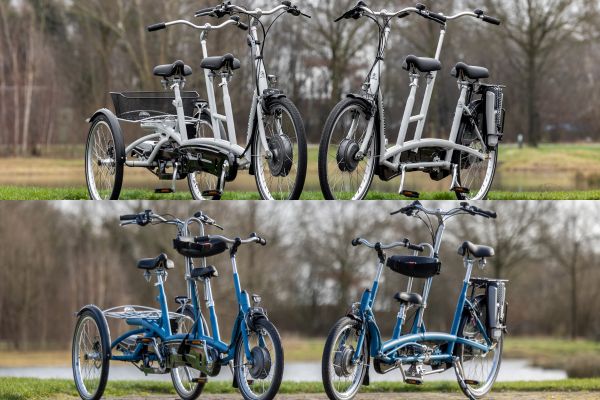 Standaard kleuren voor Van Raam fietsen tandems Twinny en Twinny Plus en Kivo en Kivo Plus
