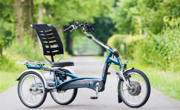 Rundum das beste Sessel-Dreirad Van Raam Easy Rider