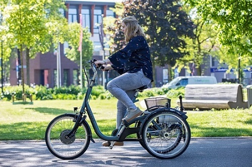 Van Raam Maxi tricycle for invalid people