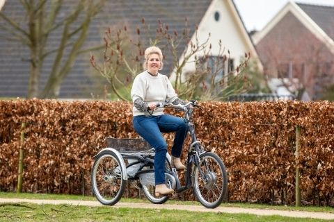Dutch low entry Bike  Maxi Comfort Van Raam