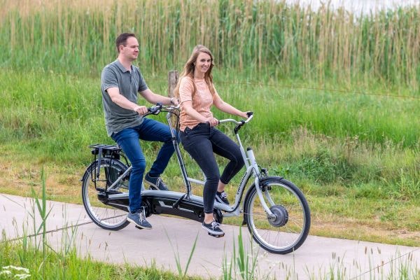 mongoose malus 26 fat tire bike