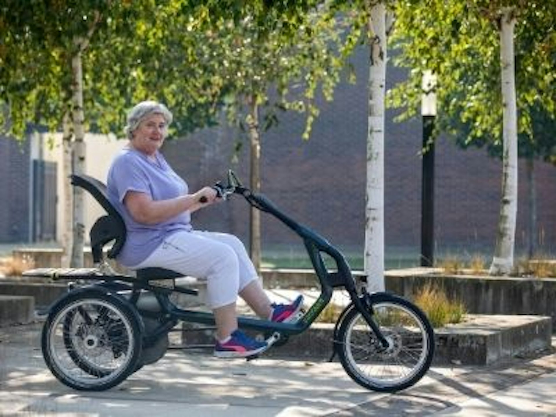 Punt Integraal Gewend Senioren driewieler met lage instap | Van Raam