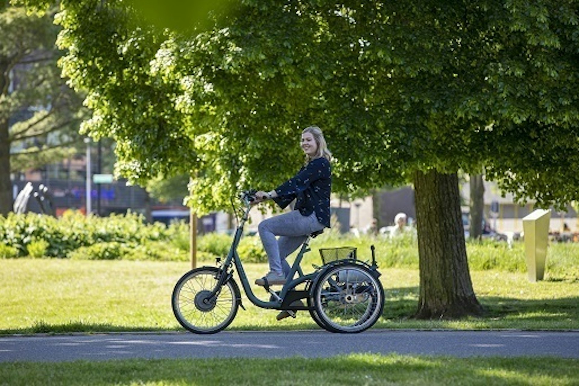 Van Raam Maxi Alternative 4-Rad Fahrrad für Erwachsene 