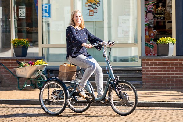 Van Raam Maxi Dreirad für Erwachsene