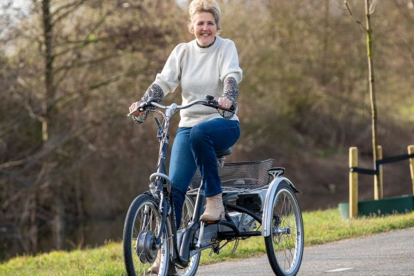 Hollandrad mit tiefem Einstieg von Van Raam Maxi Comfort